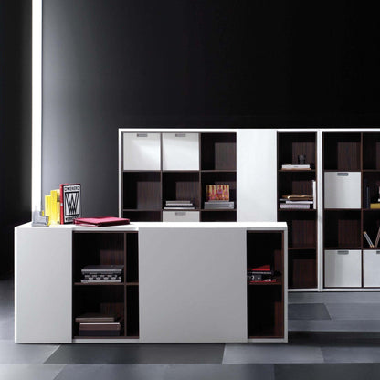 Vektor's Custom Office Cabinets